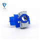 Factory Plastic Wing Nut Channel Spring Nut Solar End Clamps Spring Nuts