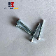 Stainless Steel Machine / Socket / Set / Wood / Self Drilling / Self Tapping/ Drywall / Chipboard / Deck / Concrete / Roofing Screws