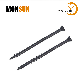 #6 Small Countersunk Trim-Head Phosphate-Plated Black Metal Internal Drywall Screw for Wood to Light Gauge Steel