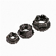 Factory Price Black Oxide Inch Size DIN 6923 ISO 4161 Grade 8 Flange Hex Head Nut