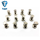 Stainless Steel Magnetic Push Pin Colorful Plastic Magnetic Thumbtack Powerful Office Magnet