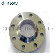  Stainless Steel Weld Neck Flanges
