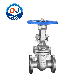  Industry Valve Stainless Steel 150lb/300lb/600lb/900lb Flange Gate Valve