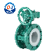  Ci/Di Cast Ductile Iron PTFE Rubber-Lined Worm Gear Flanged Butterfly Valve