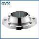 DIN Standard Stainless Steel Forged Flange