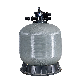 Top Mount Sand Filter Swimming Pool Sand Filter