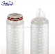  High Flow Hydrophillic Pleated Water Filter Cartridge with Nylon6 N66 Membrane 10