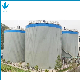High Strength Stainless Steel Pressure Filter Water Treatment Anaerobic Digester Tanks