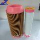 Air Filter C14200 for Excavator Truck Cars for Mann Air Compressor