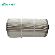 PTFE Membrane Cartridge Air Filter P031790 Air Intake Filter Element