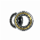 Nj/Nu 203 Cylindrical Roller Bearing for Machinery