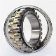 Double Row Cylindrical Roller Bearing/Nn3026K/P492/Made in China/Rolling Bearing