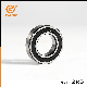  6011 Z, Zz, 2RS, 2rz, OEM Chinese Factory, Motorcycle Deep Groove Ball Bearing