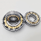  Wheel Bearing Spherical Roller Bearing Taper Roller Bearing Cylindrical Roller Bearing Deep Groove Bearing