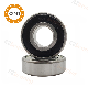 Bearing Rodamientos Auto and Motorcycle Parts Roller Bearing/Spherical Roller Bearing/Wheel Hub Bearing 6007 2RS Deep Groove Ball Bearings