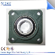  1688manufacture High Quality Low Price Square Flanged Bearing Housing F206 Ucf206 UCP205 UCFL207 UCT208 Bracket Bearing Pedestal Auto Parts Pillow Block Bearing