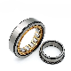 Nu305em1 Nu307 Nu308 Nu309 Nu310e Cylindrical Roller Bearing