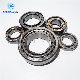 Separator Parts Ncf209V Nj2215e Cylindrical Roller Bearing with High Performance