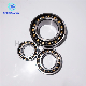  Double Rows Angular Contact Ball Bearing for Plastic Mechanical Bearing 3210/3212/3218