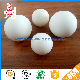  Custom-Made Colorful Good Performance PTFE Plastic Balls