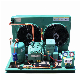 Mjzbf Serise Air Cooled Condensing Unit Refrigeration Equipment for Cold Room