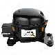  600A Refrigeration Compressor 110 Volt Compressor for Refrigeration R134A Refrigeration Compressor