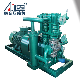  Zw-2.0/16-24 Direct Connection Liquefied Gas LPG Compressor, Vertical Piston Type Oil-Free, LPG Station Tank Truck Unloading/Ammonia Unloading Compressor