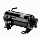 Home CNG Compressor Camping Auto RV Camping Compressor Recovery Vehicle etc and Satellite Vehicles Qhc-19K