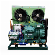 Condensing Unit with Semi-Hermetic Piston Refrigeration Compressor Cold Room