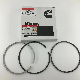  4090028 K19 Qsk19 Piston Ring Kit Lower Engine Gasket Kit Engine Piston Set Bearing Set Oil Cooler Lower Gasket Upper Engine Gasket Ring for Cummis