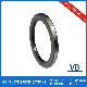  Skeleton Framework Oil Seal Nok Oil Seal Hydraulic and Pneumatic Seal Vb Rubber Seal Manufacturer Non-Standard Customization