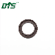  Tcv FKM Dual Lips Oil Seals with Spring Loaded