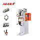  2%off Agera Factory Outlet Ifdc Resistance Spot Welding Machine for Wire Metal Sheet Inverter Spot Welder