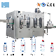 Full Automatic 330ml Mineral Water Bottle Washing/Filling/Capping System/Facility/Device