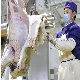 Goat Slaughtering Machine Meat Processing Production Line