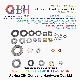 Qbh DIN125 DIN127 F436 F959 DIN6919 DIN934 DIN936 All Type Zp/Yzp/Bzp/Plain/Black/HDG/Dacromet/Geomet/Nickle Plated Washers