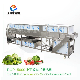  Industrial Fruit and Leaf Vegetable Washer Machine High Pressure Sprayers Washing Cleaning Machine