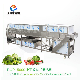 Industrial Fruit and Leaf Vegetable Washer Machine High Pressure Sprayers Washing Cleaning Machine manufacturer