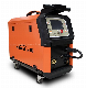 MIG Welding Machine IGBT LCD Dual Pulse Cart (MIG-250GDL)