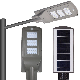 All in Two Solar LED Street Light 30W