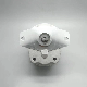 Hydraulic Plunger Hydraulic Pump Spare Parts for PC75uu