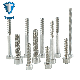 One-Stop Roofing Screws Hex Socket Cap Screws Machine Screw Allen Bolts Cup Allen Screws Grub Screw Sems Screws Aluminum Screws Tek Screw Thread-Forming Screw