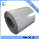  Building Material Color Coated PPGI Galvanized Steel Coil for Roofing Sheet Factory Price