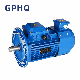  Gphq Yvp Series IP55 Variable Frequency Three Phase Electric AC Induction Motor for Mining Machinery