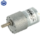 37mm 6V 12V 24 Low Rpm 1n. M High Torque Micro DC Gearbox Electric Metal Gear Motor for Robot and Electric curtain