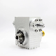 Self-Lock Stainless Steel Worm Drive Gear Gearbox Output Flange Speed Reduction