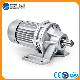  Foot Mounted Cycloid Speed Gear Reducer With Motor
