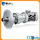  Planetary Gearbox Speed Reducer for Agitator & Mixer