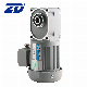  ZD 100W 60Hz 3-Phase Hypoid Gear Motors For Food Packing Industry