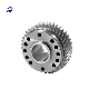 Wholesale Factory Custom Small Planetary Gear Wheel Worm Helical Gear